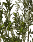 Artificial Potted Olive Tree - Huge - Apulia - Faux Plants & FlowersFaux Plants & Flowers - Lulu Loves Home