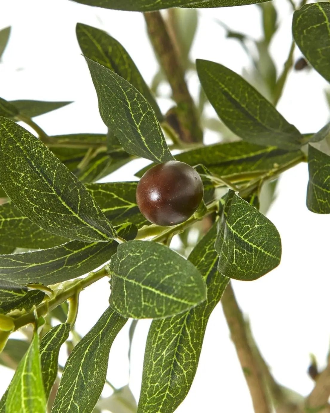 Artificial Potted Olive Tree - Huge - Apulia - Faux Plants & FlowersFaux Plants & Flowers - Lulu Loves Home