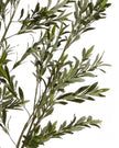 Artificial Potted Olive Tree - Huge - Apulia - Faux Plants & FlowersFaux Plants & Flowers - Lulu Loves Home