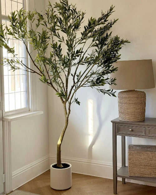 Artificial Potted Olive Tree - Huge - Apulia - Faux Plants & FlowersFaux Plants & Flowers - Lulu Loves Home