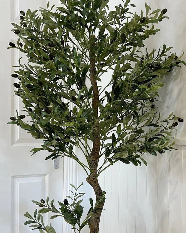 Artificial Potted Olive Tree - Large - Calabria - Faux Plants & FlowersFaux Plants & Flowers - Lulu Loves Home