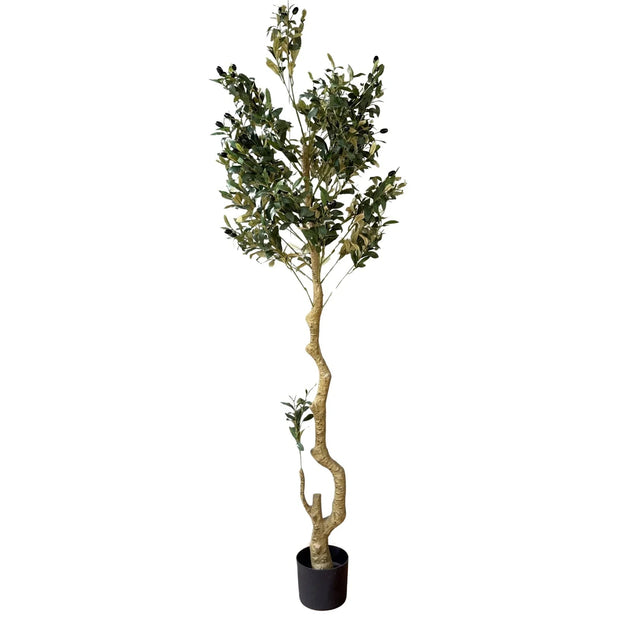 Artificial Potted Olive Tree - Large - Calabria - Faux Plants & FlowersFaux Plants & Flowers - Lulu Loves Home