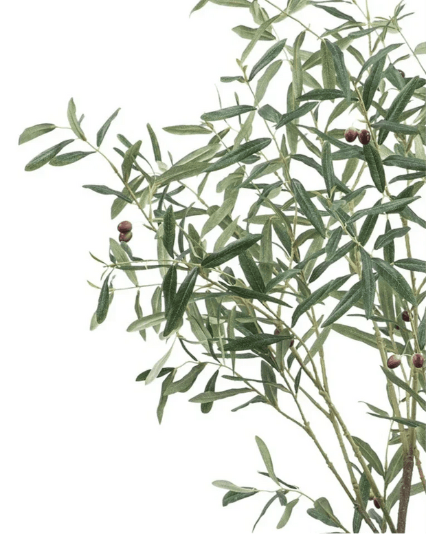 Artificial Potted Olive Tree - Medium - Florence - PRE ORDER FOUR WEEK DELIVERY - Faux Plants & FlowersFaux Plants & Flowers - Lulu Loves Home
