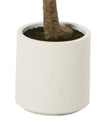 Artificial Potted Olive Tree - Small - Apulia - Faux Plants & FlowersFaux Plants & Flowers - Lulu Loves Home
