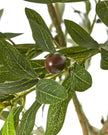Artificial Potted Olive Tree - Small - Apulia - Faux Plants & FlowersFaux Plants & Flowers - Lulu Loves Home