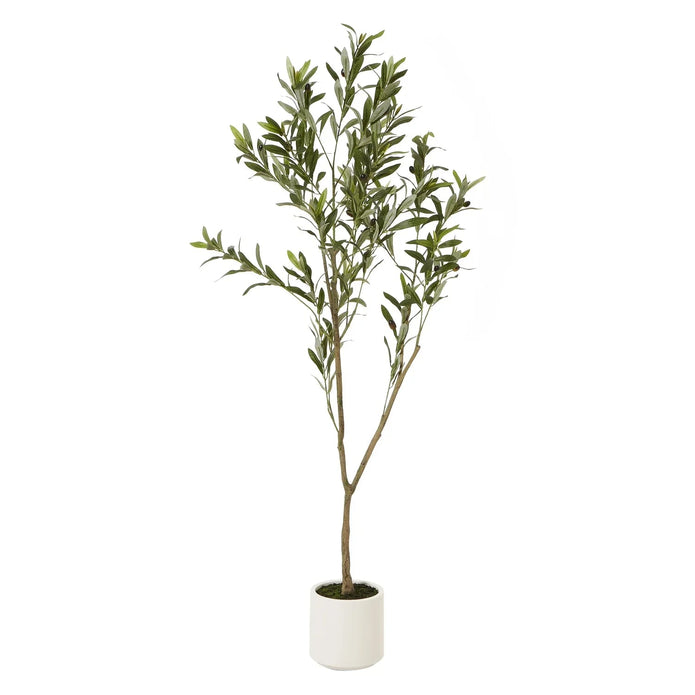 Artificial Potted Olive Tree - Small - Apulia - Faux Plants & FlowersFaux Plants & Flowers - Lulu Loves Home
