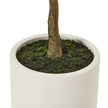 Artificial Potted Olive Tree - Small - Apulia - Faux Plants & FlowersFaux Plants & Flowers - Lulu Loves Home