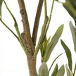 Artificial Potted Olive Tree - Small - Apulia - Faux Plants & FlowersFaux Plants & Flowers - Lulu Loves Home