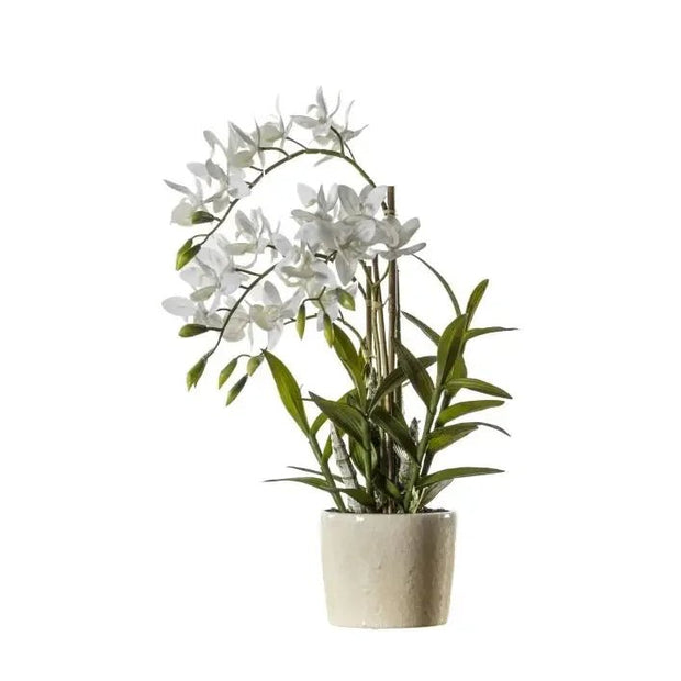 Artificial Potted Orchid Cycnoches - PRE ORDER FOUR WEEK DELIVERY - Faux Plants & FlowersFaux Plants & Flowers - Lulu Loves Home