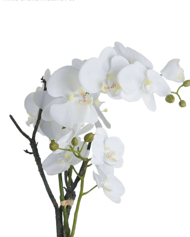 Artificial Potted Orchid In A Stone Pot - Faux Plants & FlowersFaux Plants & Flowers - Lulu Loves Home