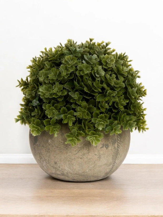 Artificial Potted Small Dark Green Hebe Plant - Faux Plants & FlowersFaux Plants & Flowers - Lulu Loves Home