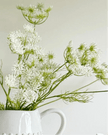 Artificial White Cow Parsley Stem - Faux Plants & FlowersFaux Plants & Flowers - Lulu Loves Home