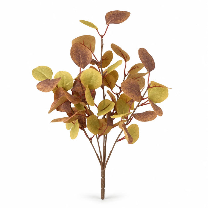 Fresh eucalyptus leaf sprig with green and brown tones, perfect for Christmas holiday decor, by Heaven Sends.