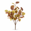 Fresh eucalyptus leaf sprig with green and brown tones, perfect for Christmas holiday decor, by Heaven Sends.