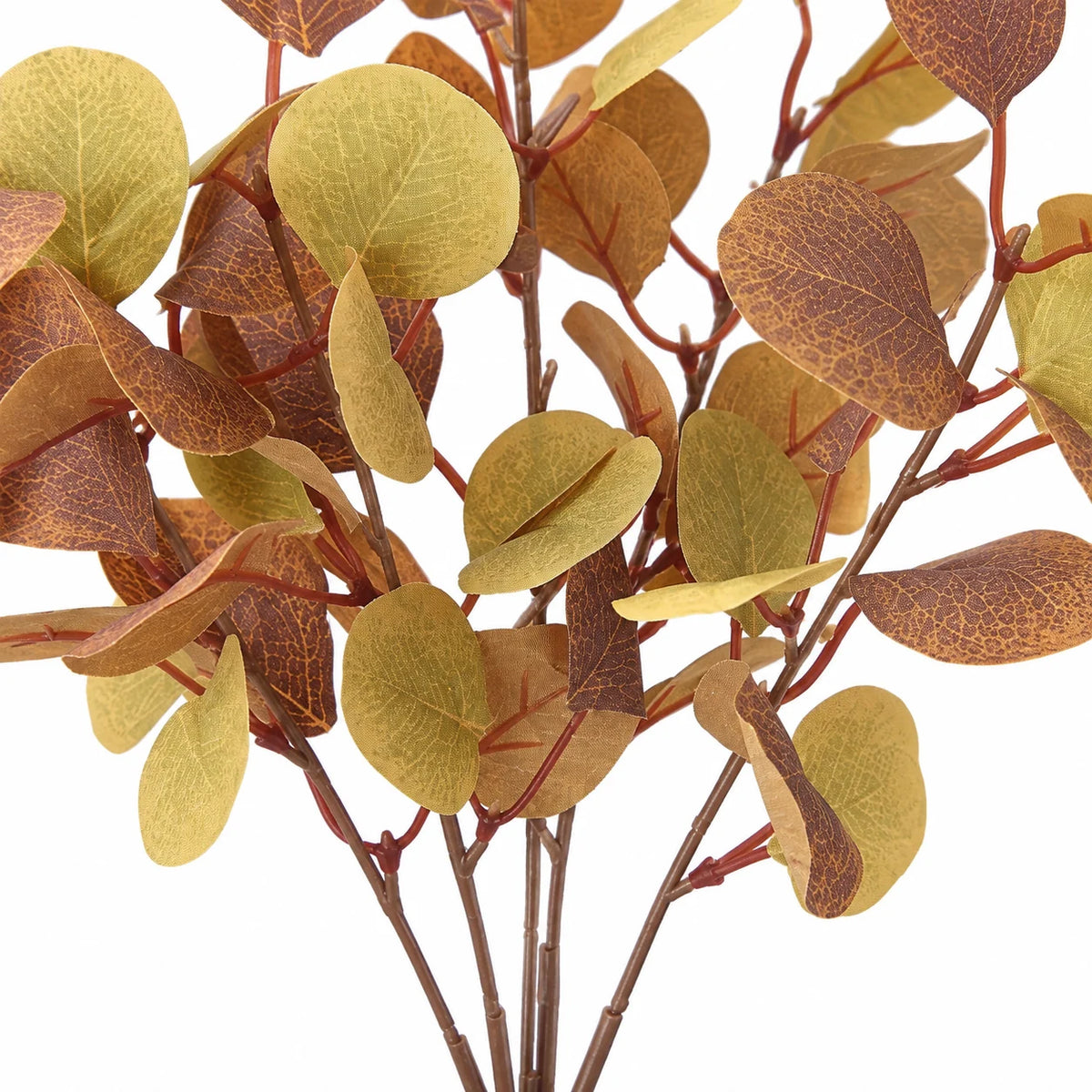 Close-up of a Christmas eucalyptus leaf sprig with green leaves and subtle autumn tones, from Heaven Sends.