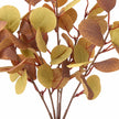 Close-up of a Christmas eucalyptus leaf sprig with green leaves and subtle autumn tones, from Heaven Sends.