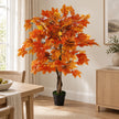 Autumn orange maple leaf foliage tree by Starlight Express with vibrant fall leaves on a lush green background.