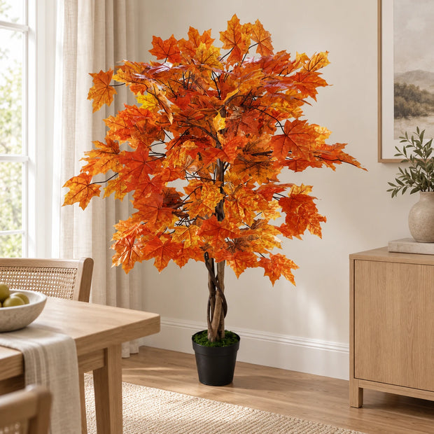 Autumn Orange Maple Leaf Foliage Tree, orange maple tree in a black pot beside a window