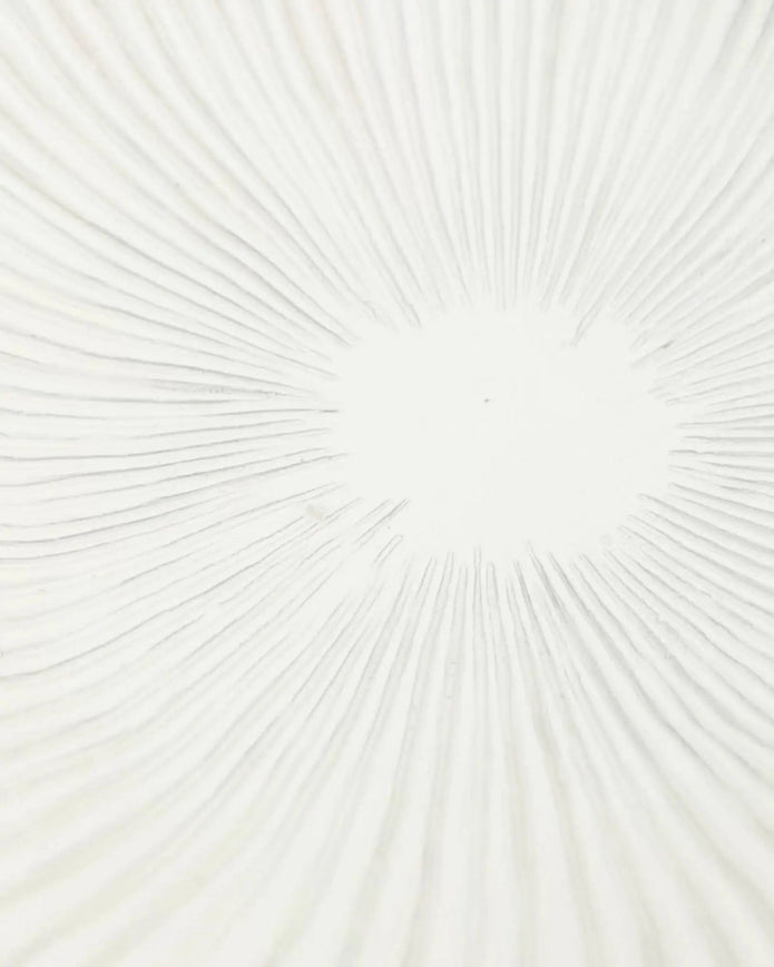 Barbuda Large Scalloped Wavy Decorative Bowl – Neutral Resin Tray - PRE ORDER LATE SEPT DELIVERY - Home DecorHome Decor - Lulu Loves Home