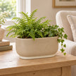 Beige ceramic trough planter with fern and trailing ivy on a side table