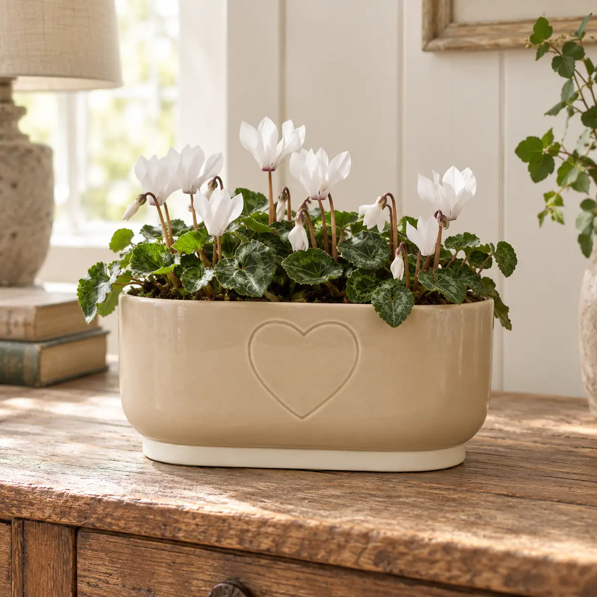 Oval beige heart planter styled with white cyclamen on an oak console
