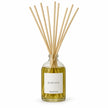 Black Oud Reed Diffuser on white with natural reeds inserted.