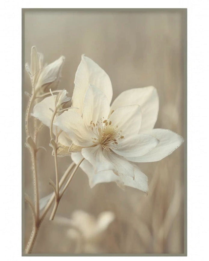 Large neutral botanical framed wall art print featuring an anemone flower by Brayden and Brooks.