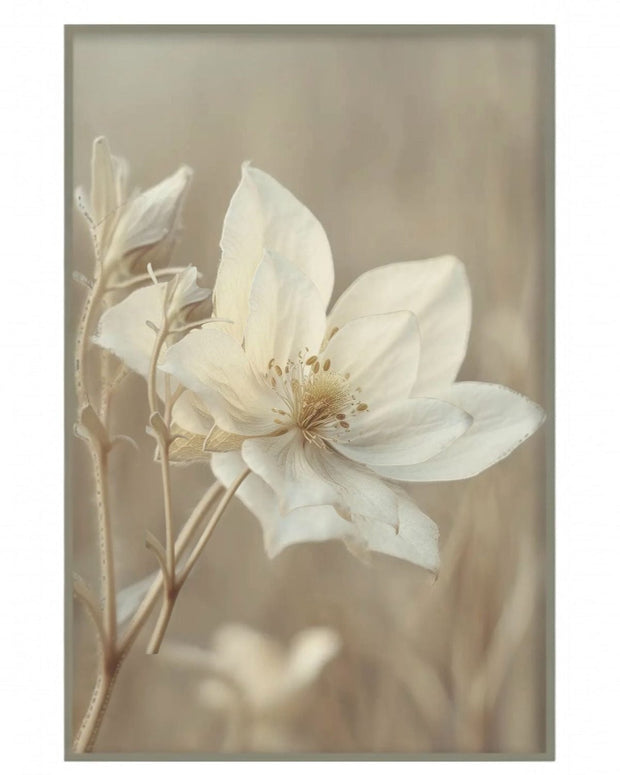 Large neutral botanical framed wall art print featuring an anemone flower by Brayden and Brooks.