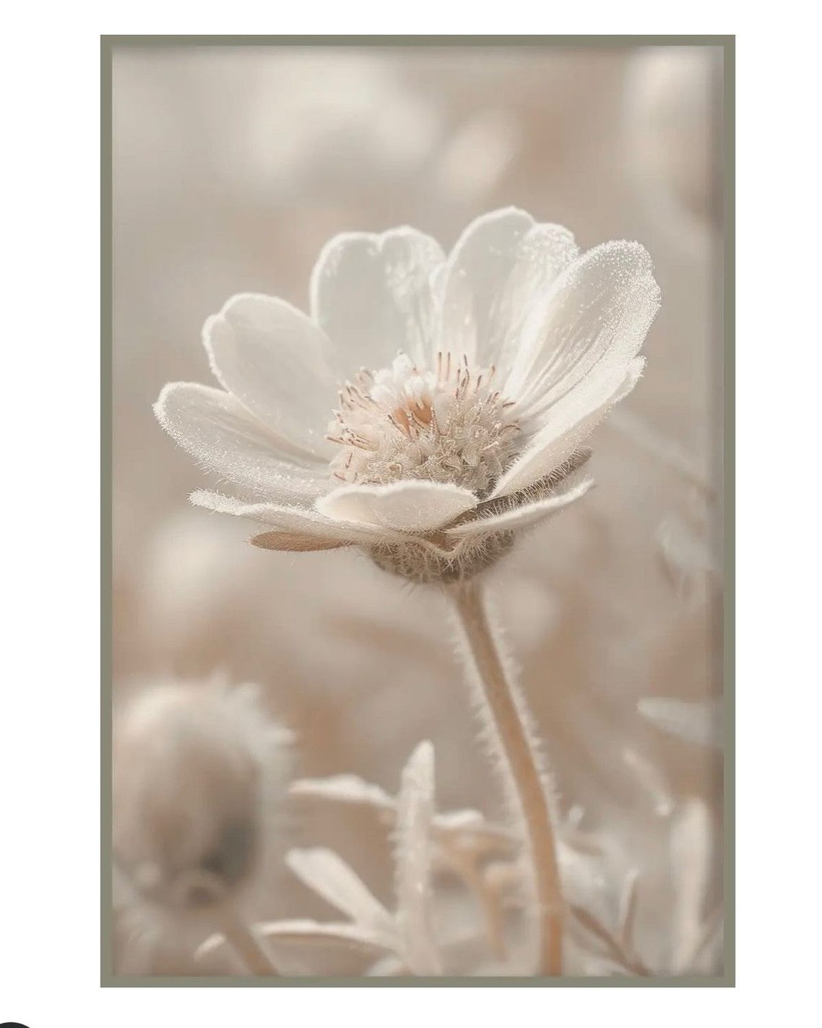Large neutral botanical wall art print featuring daisies by Brayden and Brooks, framed floral wall art for home decor.