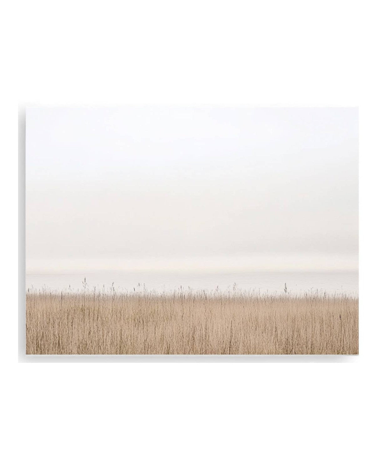 Small wood framed wall art print featuring seagrass design by Brayden and Brooks, ideal for coastal or beach-themed decor.