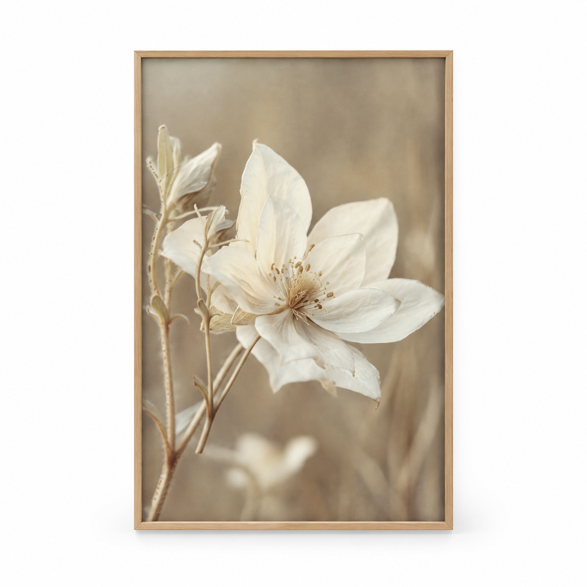 Brayden and Brooks Anemone framed botanical wall art, 46 x 89 cm, straight-on studio view on white.