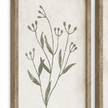 Brayden and Brooks Olive Green Botanical Framed Wall Art — Set of 3