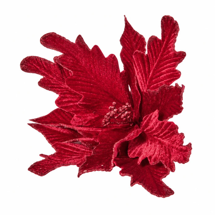 Brilliant Burgundies Style 2 flower head on a white studio background.