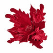 Brilliant Burgundies Style 2 flower head on a white studio background.