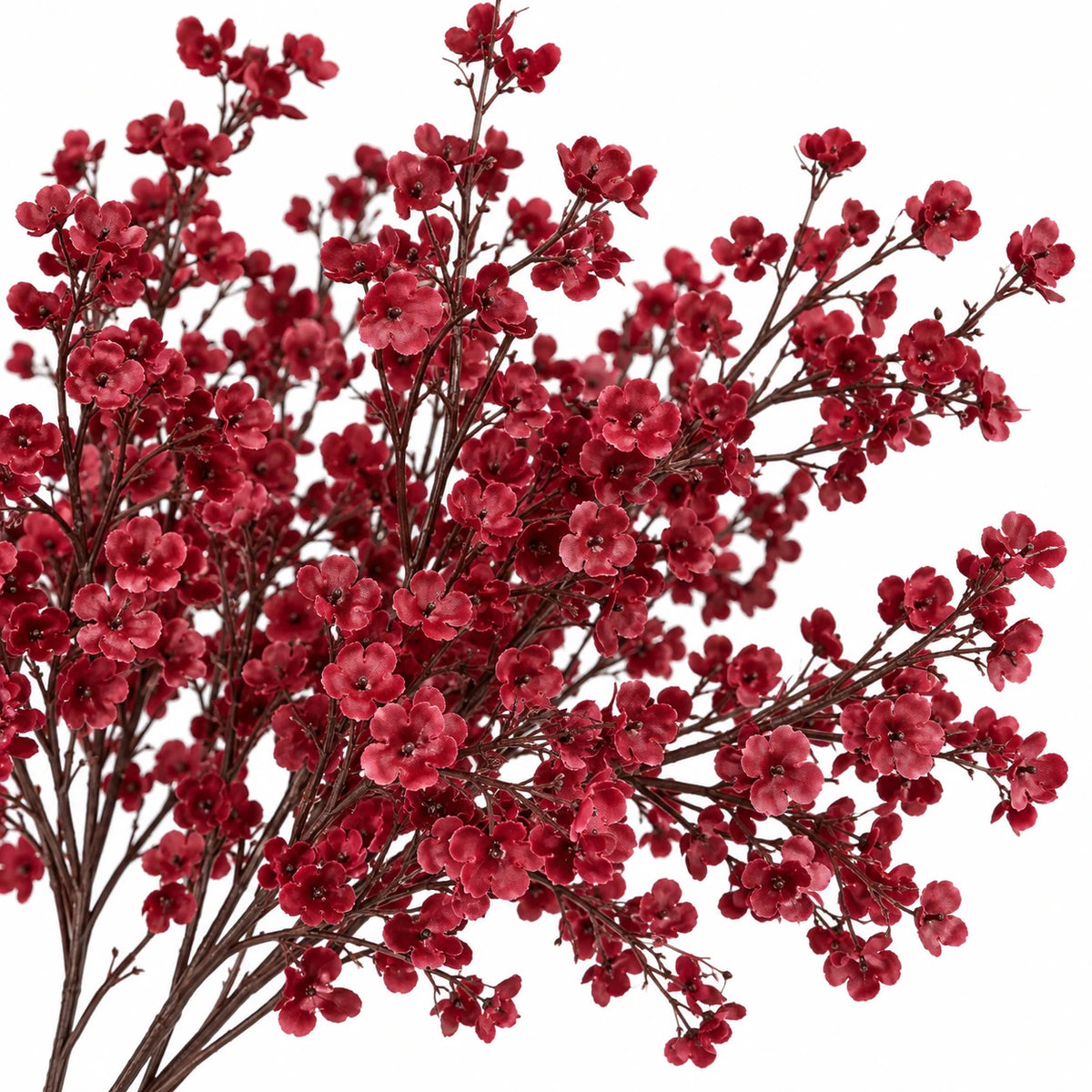 Studio detail of burgundy artificial gypsophila flowers on dark branching stems against white.