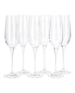 Champagne Flute Glass - Kitchen & DiningKitchen & Dining - Lulu Loves Home