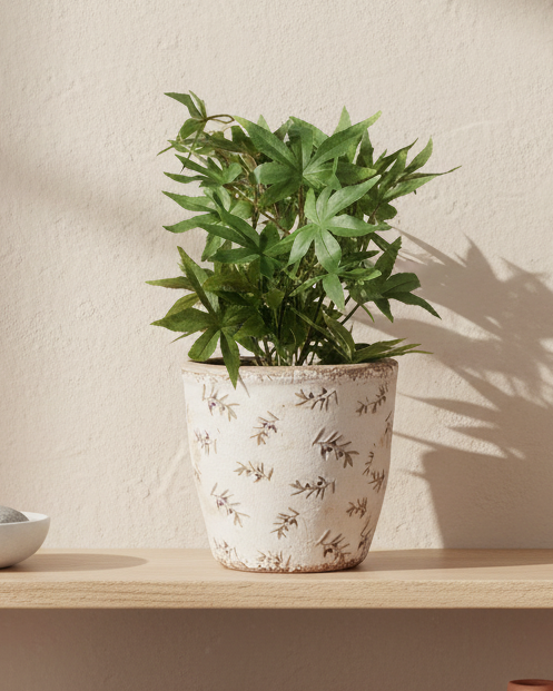 Beige ceramic olives plant pot by Clayre & Eef, extra large home decor decorative ceramic container for plants or floral arrangements.