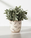 Beige ceramic olives plant pot by Clayre & Eef, small decorative home decor pot for plants or herbs.