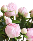 Artificial pale pink double peony flower stem from Starlight Express, showcasing lush blooms on a realistic plant stem.