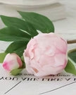 Artificial pale pink double peony flower stem from Starlight Express, showcasing lush, full blooms on a natural-looking stem.