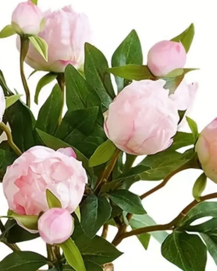 Artificial pale pink double peony flower stem from Starlight Express, realistic floral display for home or event decor