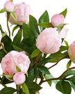 Artificial pale pink double peony flower stem from Starlight Express, realistic floral display for home or event decor