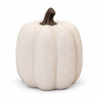 Cotton-white ceramic pumpkin showing its plain ribbed side and dark stem on white