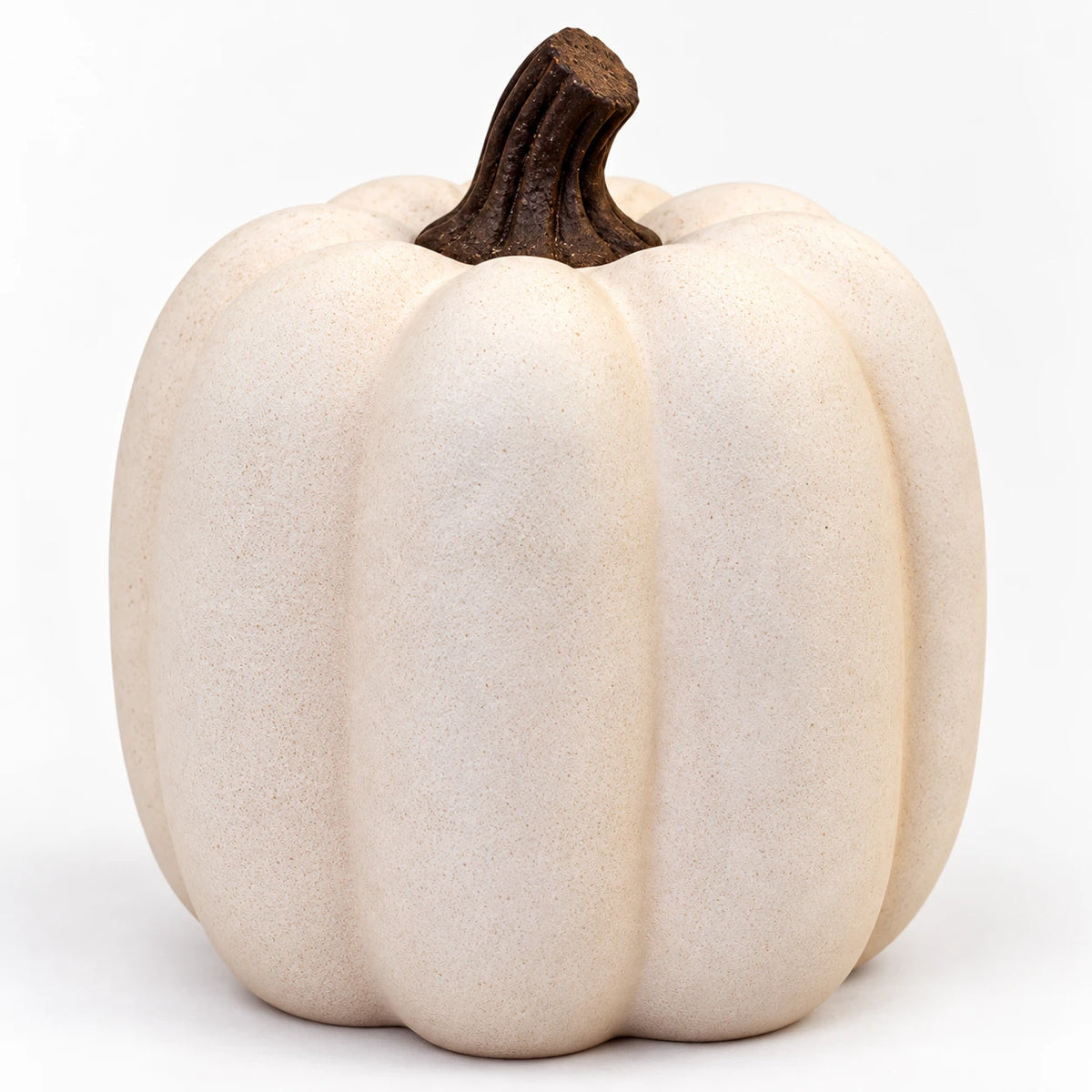 Close-up of the dark curved stem and matte ribbed surface of the cotton-white pumpkin