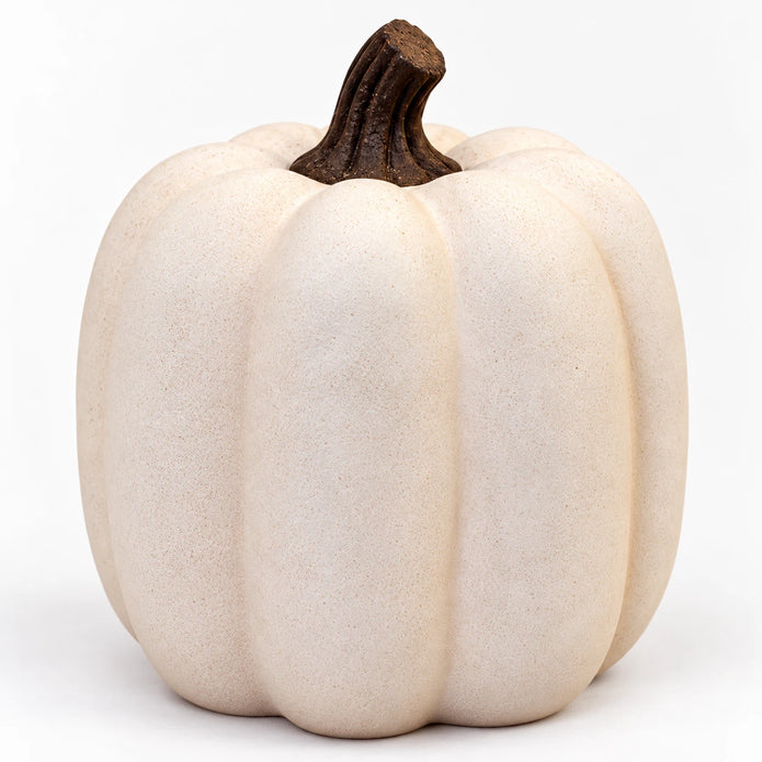 Close-up of the dark curved stem and matte ribbed surface of the cotton-white pumpkin