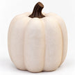 Close-up of the dark curved stem and matte ribbed surface of the cotton-white pumpkin