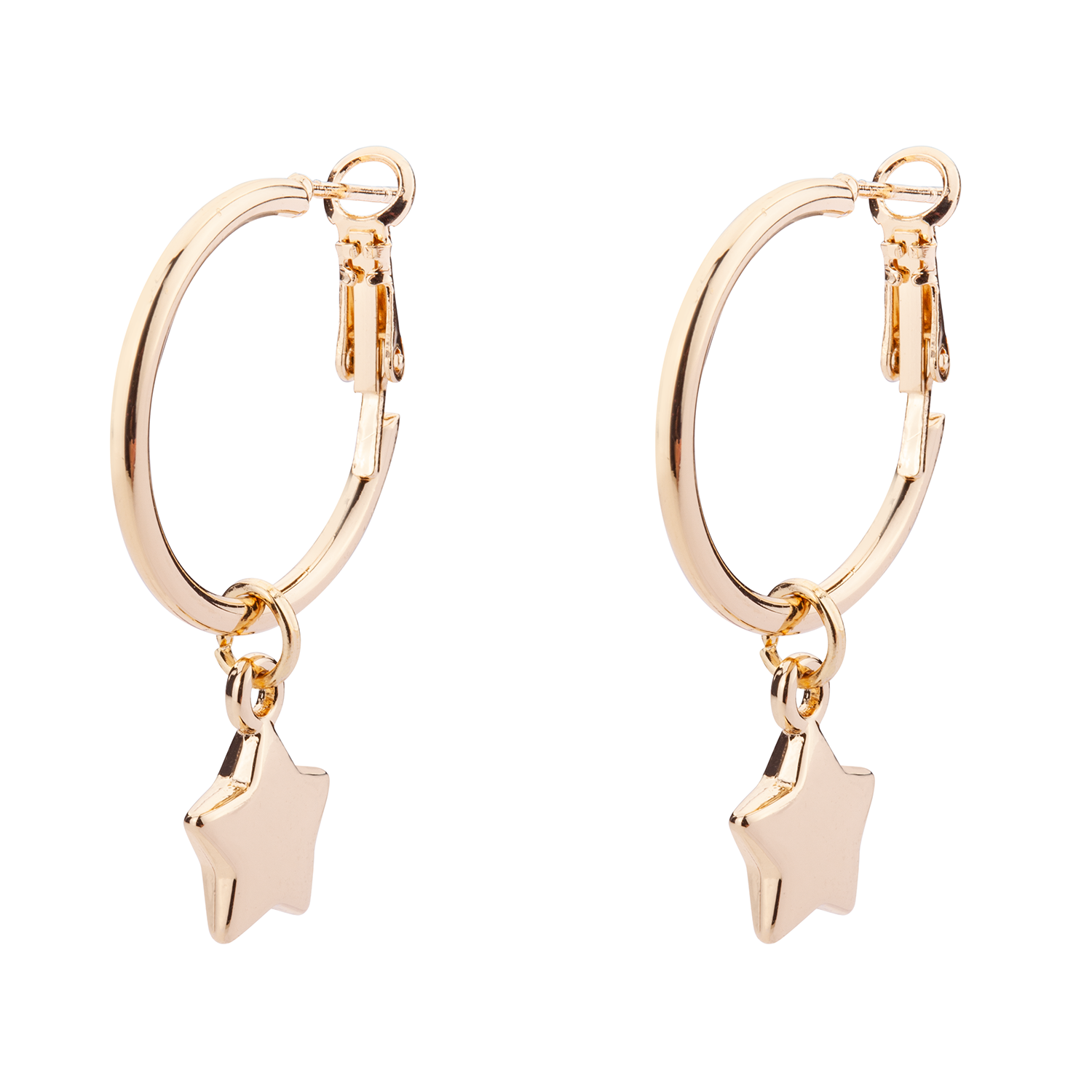 Eternal Leaver Earring