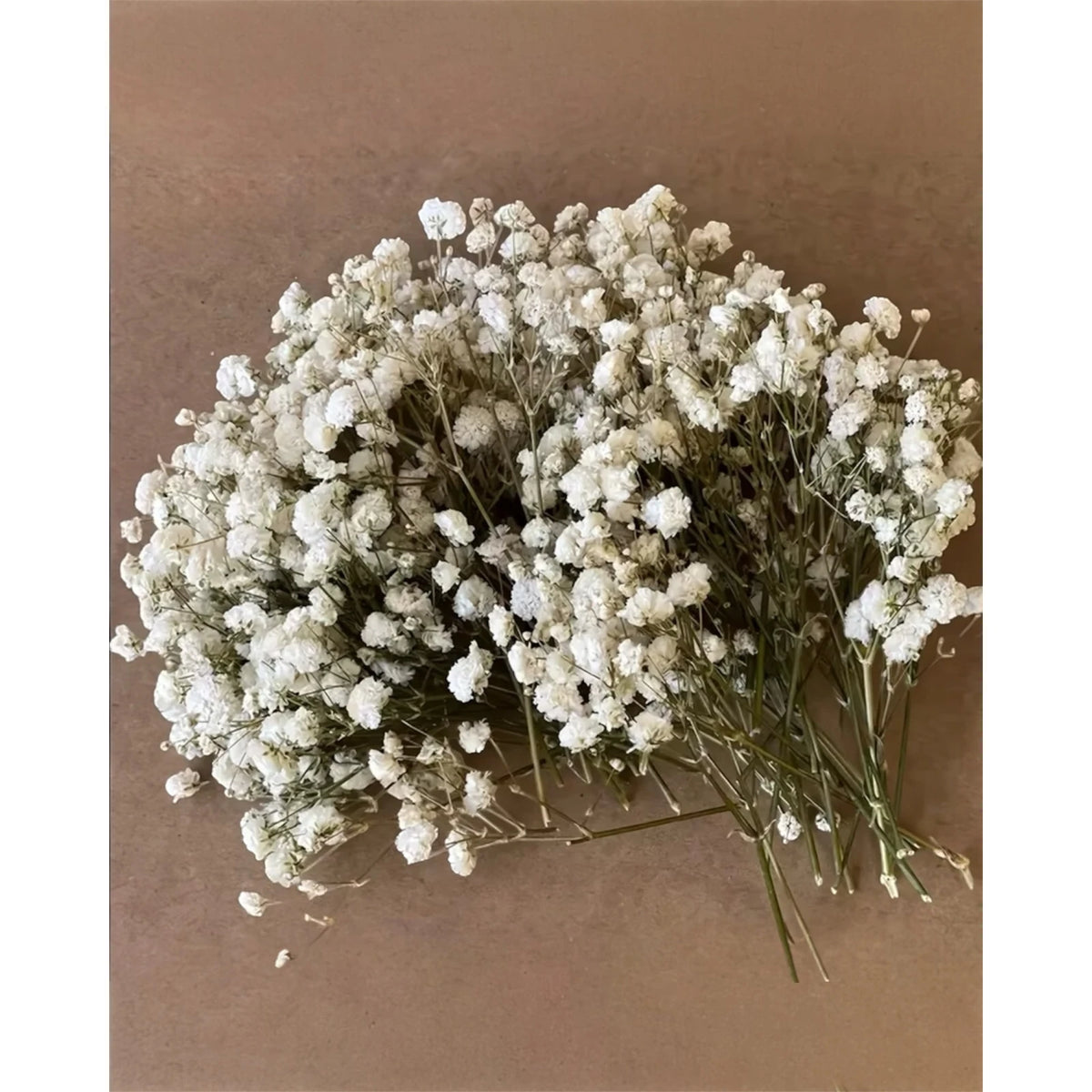 Artificial dried cream gypsophila short stems from Starlight Express, arranged in a pack of 50 for floral decoration and craft projects.