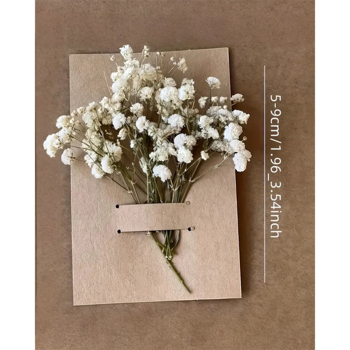 Artificial dried cream gypsophila short stems, pack of 50, from Starlight Express, showcasing delicate white floral bunches.