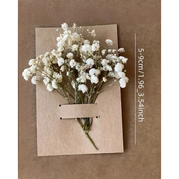 Artificial dried cream gypsophila short stems, pack of 50, from Starlight Express, showcasing delicate white floral bunches.
